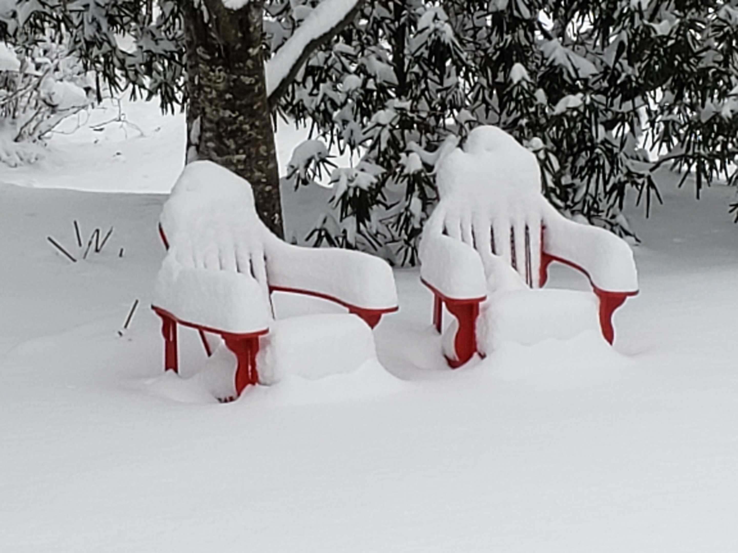Adirondack twins in snow
